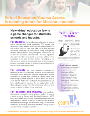 How virtual education can help you
